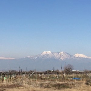 山が見える、のどかな場所