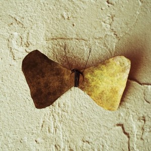 fuwaraka_2016_05_02_2