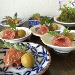 季節のうつわと皆敷<br/>其の七：皐月（さつき）