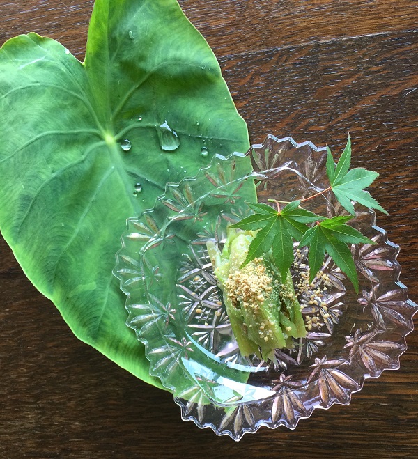 [器：プレスガラス PINK] <br /> サイズ：タテ、ヨコ 13.5㎝、高さ 2.5㎝／ 時代：大正時代／状態：良好<br />  価格：6枚…13000円、1枚…2300円（いずれも税別）<br />  備考：バラ売り対応可、送料別途　http://hototogisu.me/archives/2591/<br />  [皆敷：里芋の葉と楓]<br />  里芋は中心に親芋ができ、そのまわりに子芋、さらに孫芋、ひ孫芋と、1つの種芋から続いてできるので子孫繁栄の縁起物としてお正月料理にも使われます。 楓（かえで）の語源はその様「蛙手（かえるで）」から転じたもの。水かきのように切れ込みの浅い葉のものを“楓“と言い、この時期の楓は添えるだけで涼を感じることのできる葉っぱの代表格。