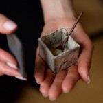 Minority Report>>>02-03 【前編】<br/>ハーブのあるくらし～リラックス＆デトックス～