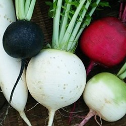 santoku_2016_12_20_2