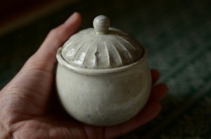 tsujiguti_2016_12_05