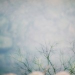 『マイノリティな夜』…時間帯【A】のご予約締切りました<br/>【B】【C】は引き続き受付中です。