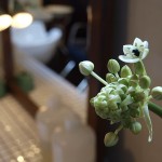 『マイノリティな夜』…時間帯【A】【B】のご予約締切りました<br/>【C】のみ受付中です。